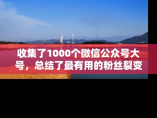 收集了1000个微信公众号大号，总结了最有用的粉丝裂变方法！
