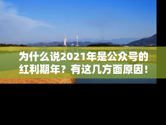 为什么说2021年是公众号的红利期年？有这几方面原因！