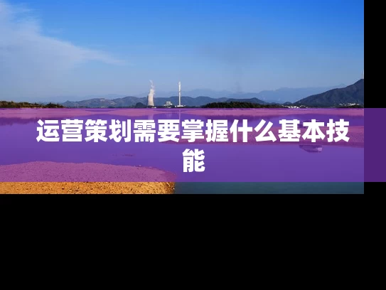 运营策划需要掌握什么基本技能