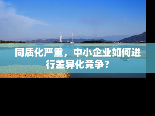 同质化严重，中小企业如何进行差异化竞争？