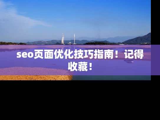 seo页面优化技巧指南！记得收藏！