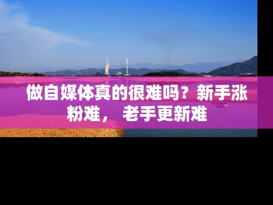 做自媒体真的很难吗？新手涨粉难， 老手更新难