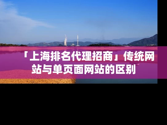 「上海排名代理招商」传统网站与单页面网站的区别