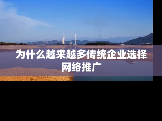 为什么越来越多传统企业选择网络推广