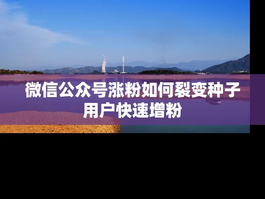微信公众号涨粉如何裂变种子用户快速增粉