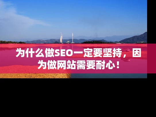 为什么做SEO一定要坚持，因为做网站需要耐心！