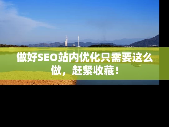 做好SEO站内优化只需要这么做，赶紧收藏！