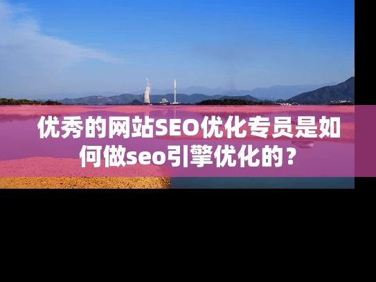 优秀的网站SEO优化专员是如何做seo引擎优化的？