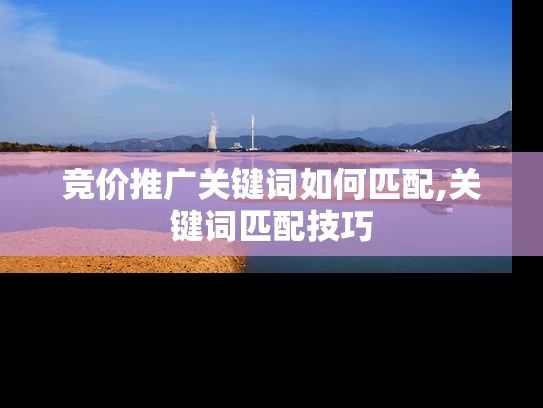 竞价推广关键词如何匹配,关键词匹配技巧