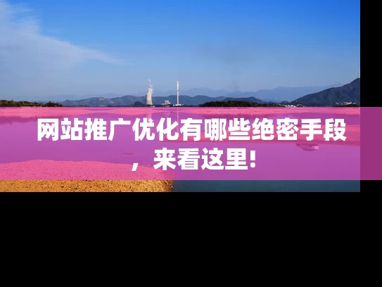 网站推广优化有哪些绝密手段，来看这里!