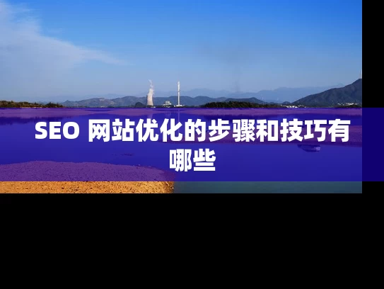 SEO 网站优化的步骤和技巧有哪些
