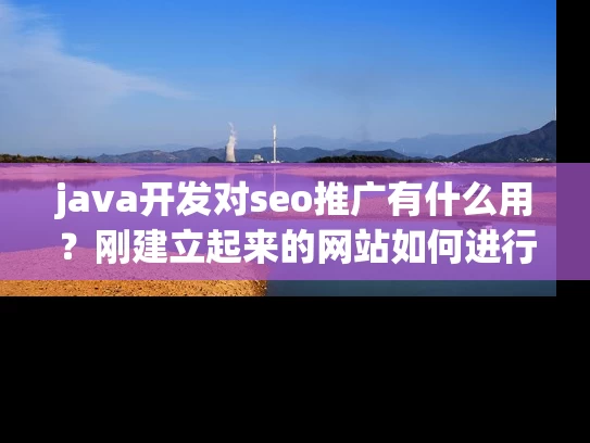 java开发对seo推广有什么用？刚建立起来的网站如何进行初期优化