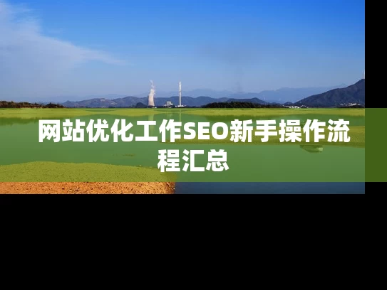 网站优化工作SEO新手操作流程汇总