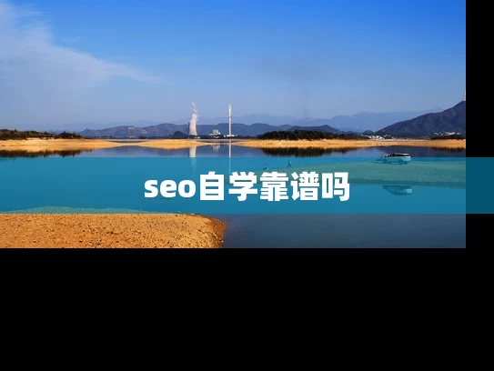 seo自学靠谱吗
