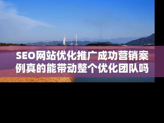 SEO网站优化推广成功营销案例真的能带动整个优化团队吗？