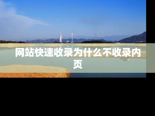 网站快速收录为什么不收录内页