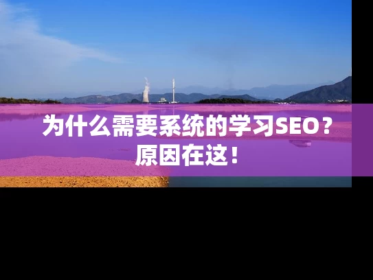 为什么需要系统的学习SEO？原因在这！