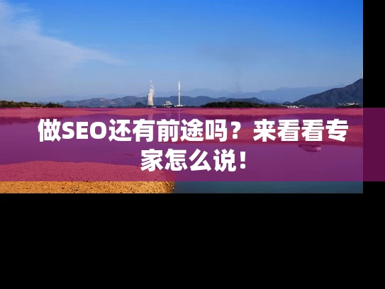 做SEO还有前途吗？来看看专家怎么说！