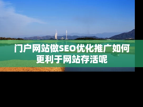 门户网站做SEO优化推广如何更利于网站存活呢