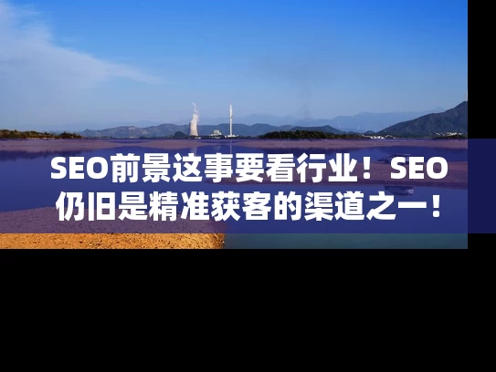 SEO前景这事要看行业！SEO仍旧是精准获客的渠道之一！