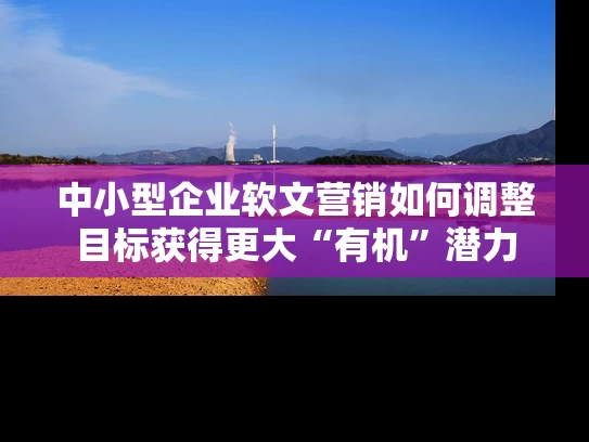 中小型企业软文营销如何调整目标获得更大“有机”潜力