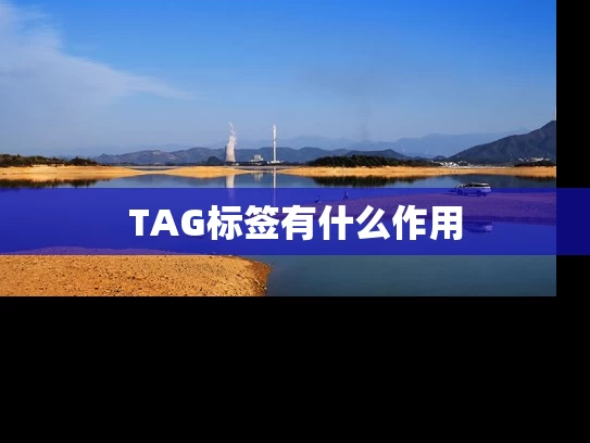 TAG标签有什么作用