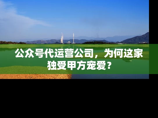 公众号代运营公司，为何这家独受甲方宠爱？