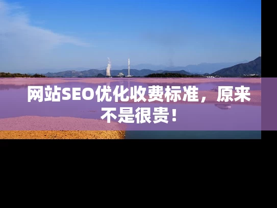 网站SEO优化收费标准，原来不是很贵！