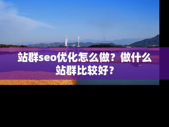 站群seo优化怎么做？做什么站群比较好？
