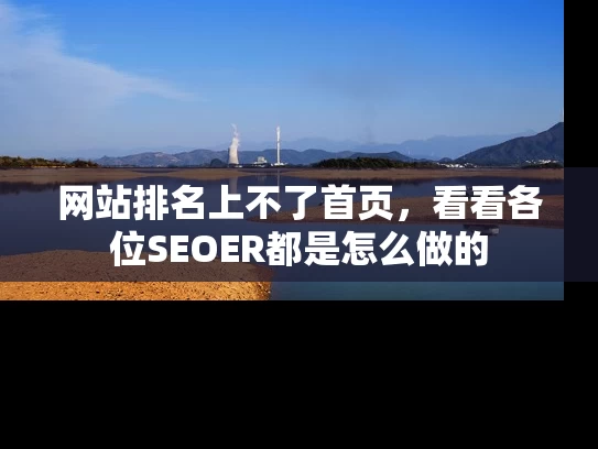 网站排名上不了首页，看看各位SEOER都是怎么做的