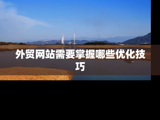 外贸网站需要掌握哪些优化技巧
