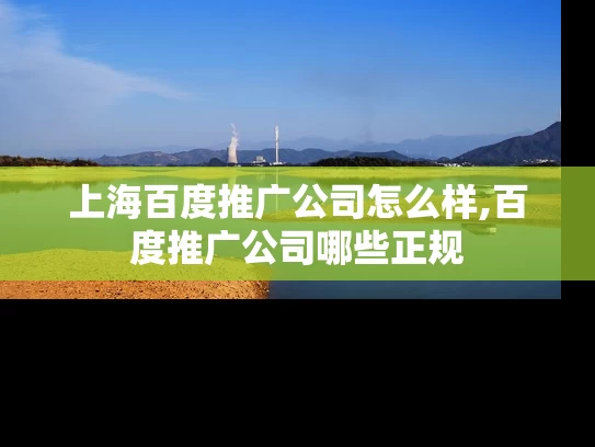 上海百度推广公司怎么样,百度推广公司哪些正规