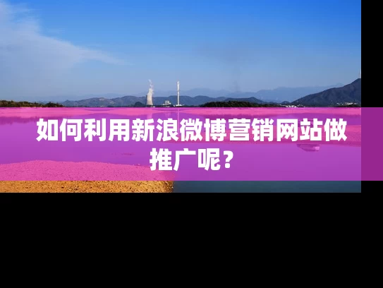 如何利用新浪微博营销网站做推广呢？