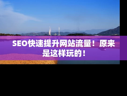 SEO快速提升网站流量！原来是这样玩的！