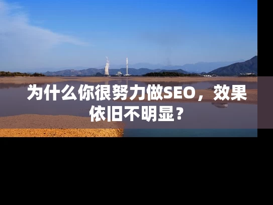 为什么你很努力做SEO，效果依旧不明显？