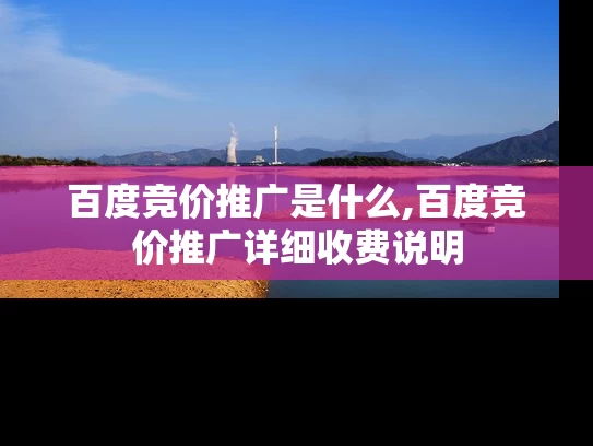 百度竞价推广是什么,百度竞价推广详细收费说明