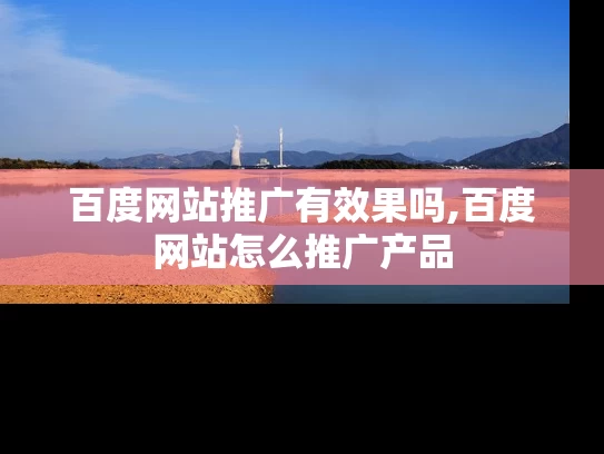 百度网站推广有效果吗,百度网站怎么推广产品