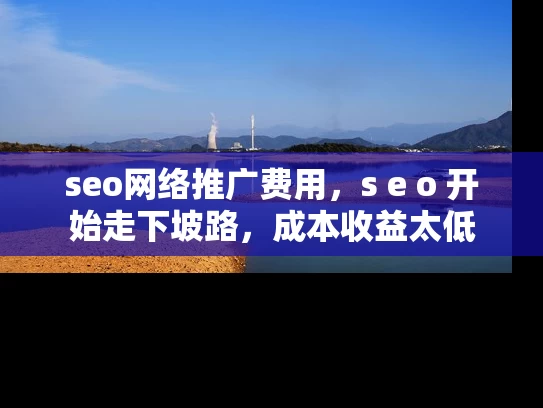 seo网络推广费用，s e o 开始走下坡路，成本收益太低