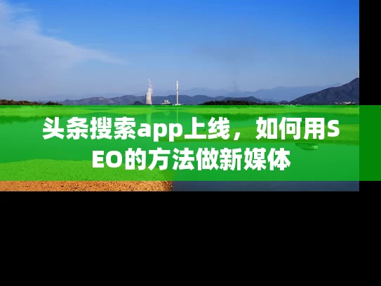 头条搜索app上线，如何用SEO的方法做新媒体