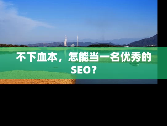 不下血本，怎能当一名优秀的SEO？