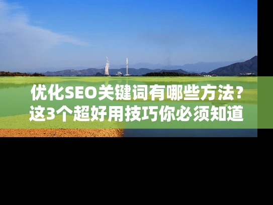 优化SEO关键词有哪些方法？这3个超好用技巧你必须知道