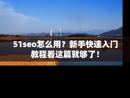 51seo怎么用？新手快速入门教程看这篇就够了！