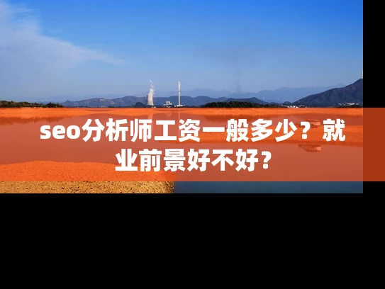 seo分析师工资一般多少？就业前景好不好？