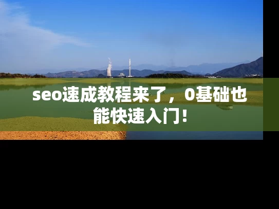 seo速成教程来了，0基础也能快速入门！