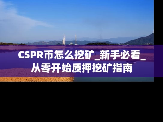 CSPR币怎么挖矿_新手必看_从零开始质押挖矿指南