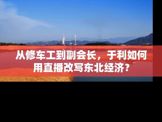 从修车工到副会长，于利如何用直播改写东北经济？