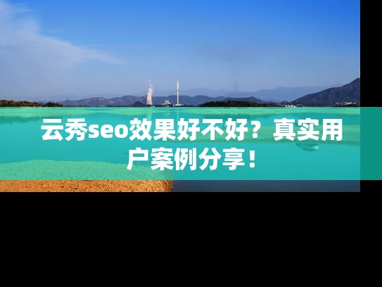 云秀seo效果好不好？真实用户案例分享！