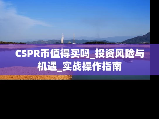 CSPR币值得买吗_投资风险与机遇_实战操作指南