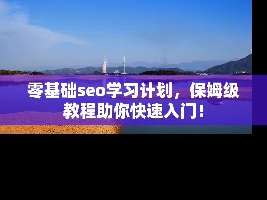 零基础seo学习计划，保姆级教程助你快速入门！