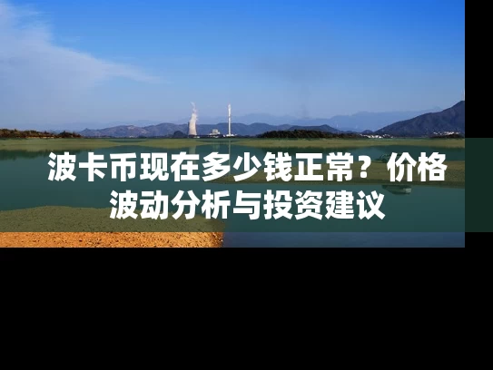 波卡币现在多少钱正常？价格波动分析与投资建议